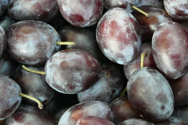 frullato prugne