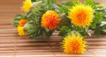 Olio di cartamo: cos’è e come usarlo