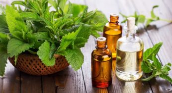 Olio essenziale di menta: proprietà e utilizzi