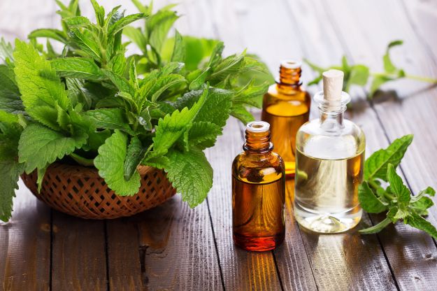 olio-essenziale-di-menta olio essenziale di menta