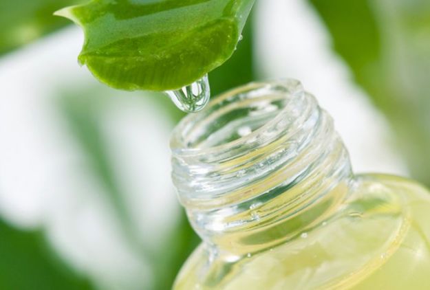 succo-di-aloe-vera-fatto-in-casa succo di aloe vera fatto in casa