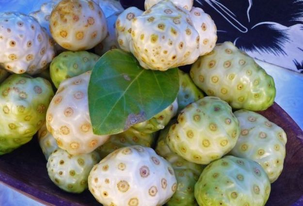 succo di noni cos e