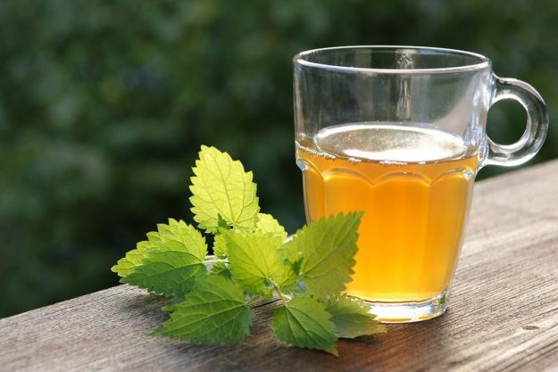 tisana ortica ricetta