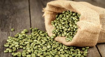 Caffè verde: benefici e come si prepara