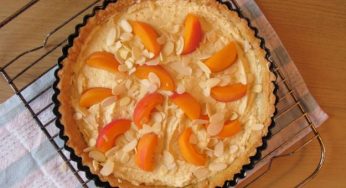 Crostata all’albicocca vegan: la ricetta