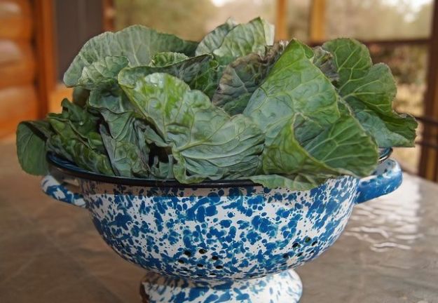 ingredienti ripieno erbazzone vegan