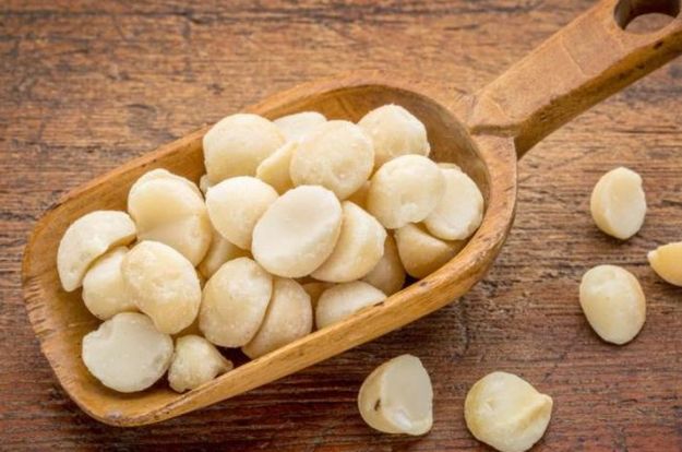 perche fanno bene noci di macadamia