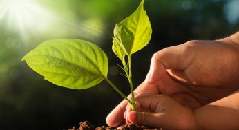 Ecologia: come insegnarla ai bambini con consigli pratici e creativi