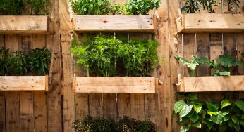 Orto verticale fai da te: come realizzare un giardino in terrazzo