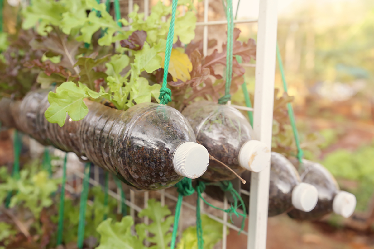 Orto verticale con bottiglie di plastica