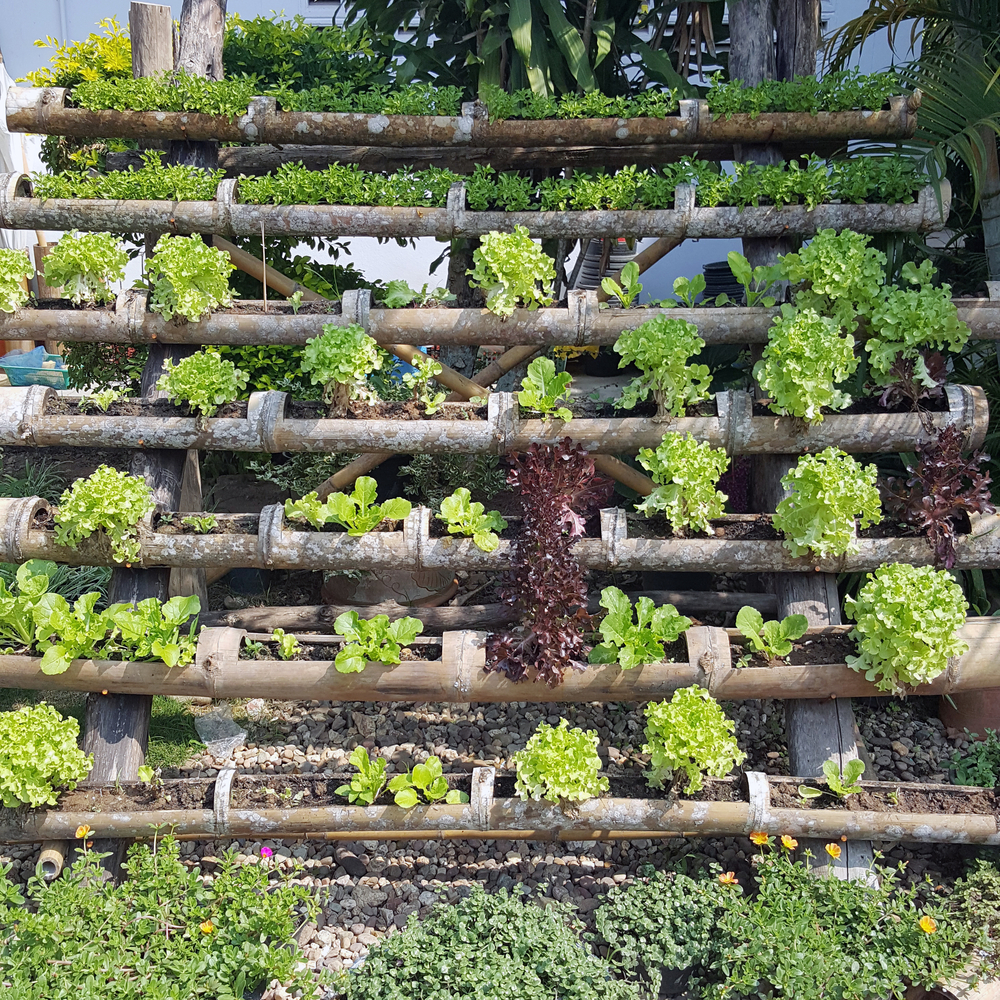 Un orto verticale per sfruttare al meglio lo spazio a disposizione