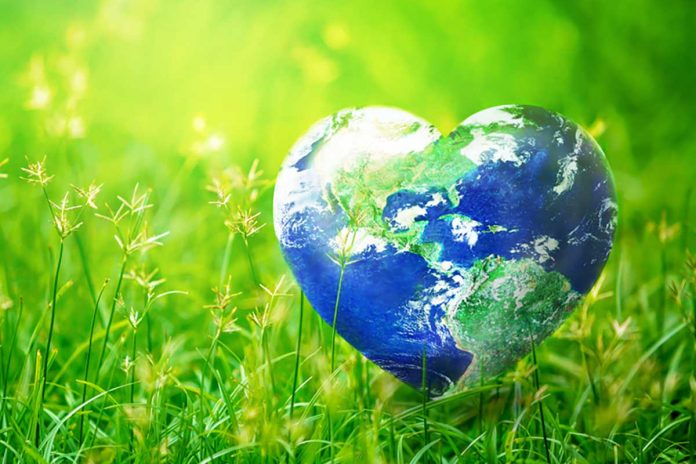 Donazione 5x1000 Greenpeace Pianeta Terra a forma di cuore su di un prato verde