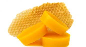 Cera d’api: proprietà e utilizzi