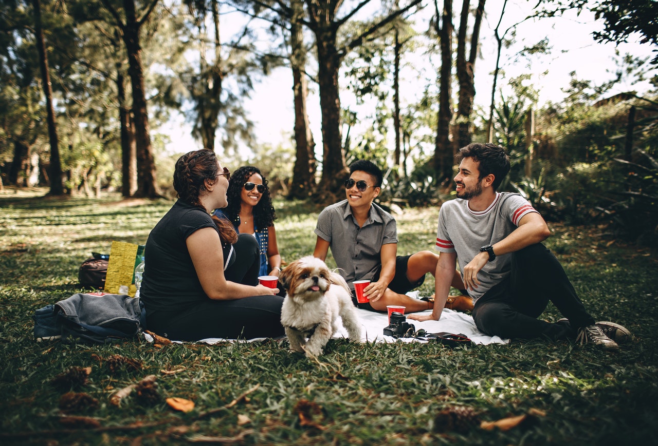 ragazzi seduti sul prato fanno un picnic