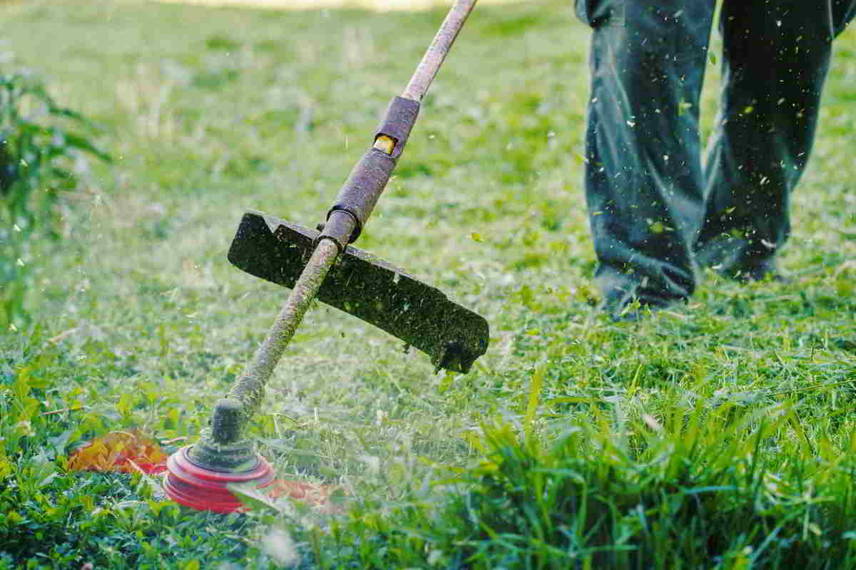 Decespugliatori Multifunzionali Cosa Sono E A Cosa Servono Ecoo it