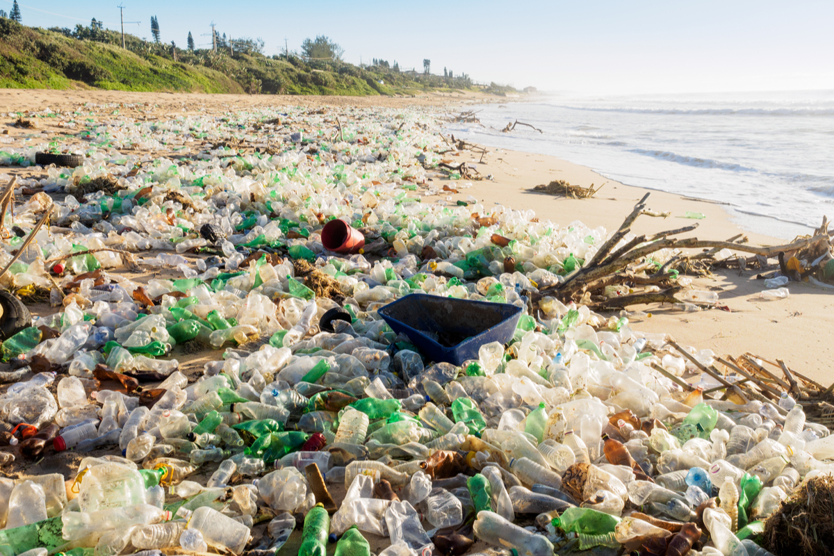 Plastica sulla spiaggia