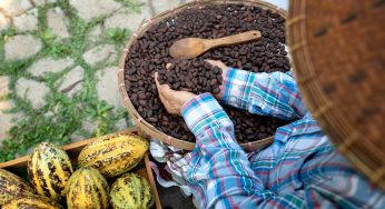 Cambiamenti climatici minaccia sempre più grande per gli agricoltori: i risultati di un nuovo allarmante studio