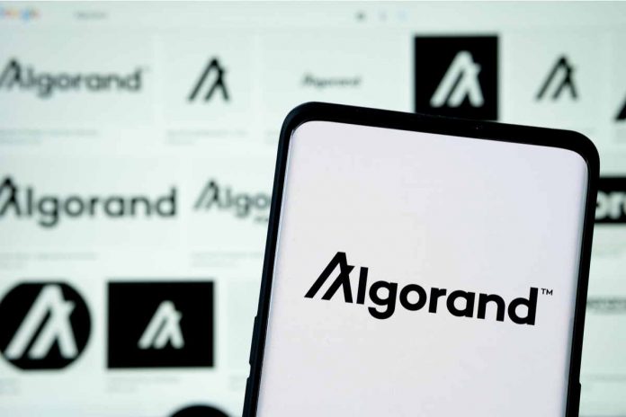Blockchain Algorand logo Blockchain Algorand logo