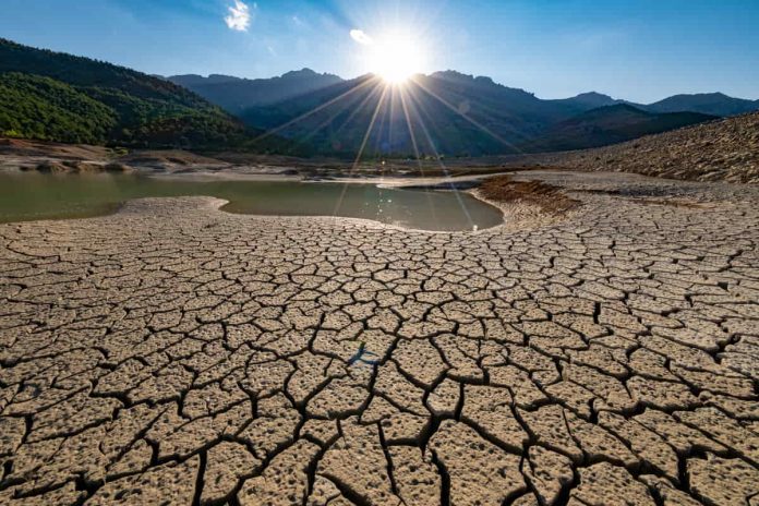 terreno secco e arido a causa della desertificazione