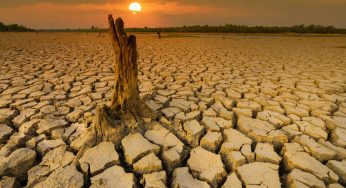 Riscaldamento globale: cos’è, cause, effetti e come contrastarlo