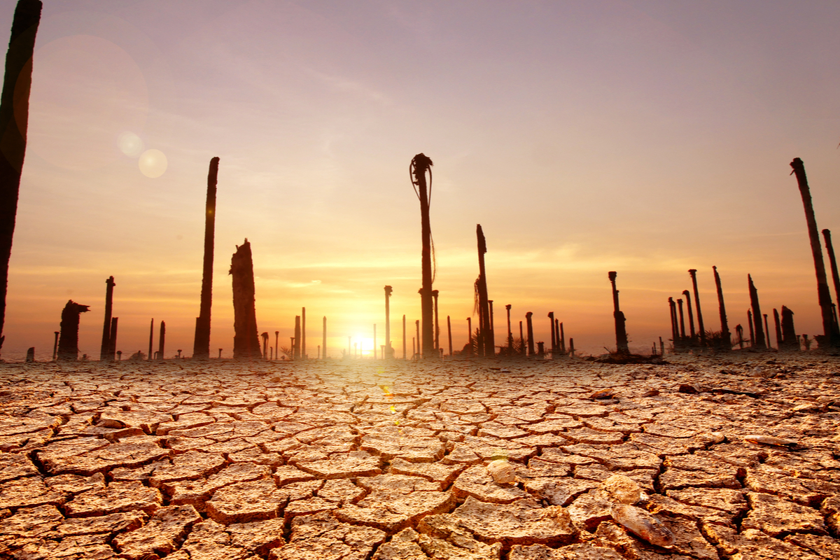 Desertificazione causata da cambiamenti climatici