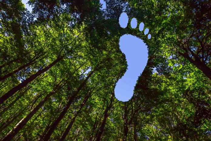 carbon footprint cessazione servizio maggior tutela