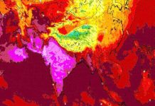 Caldo estremo in Asia (Screen Twitter World Meteorological Organization)