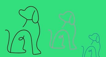 Trova il cucciolo diverso in 5 secondi: ci riesci? | Test