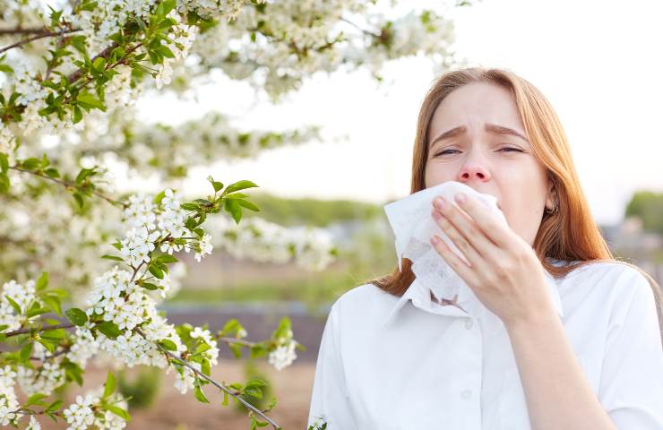 allergia polline rimedi contromosse