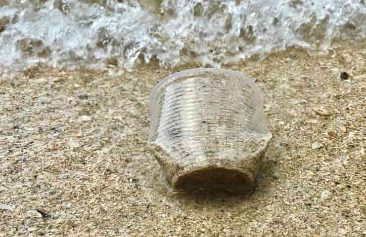 Bicchiere plastica spiaggia (Foto Pexeles)