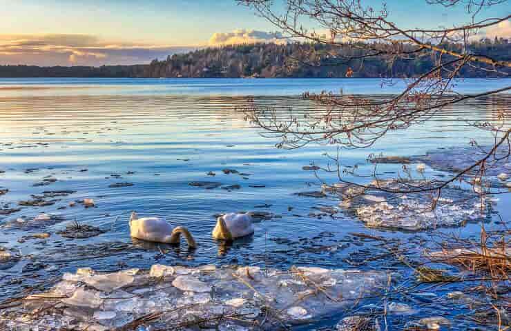 Lago (Foto Pexels)