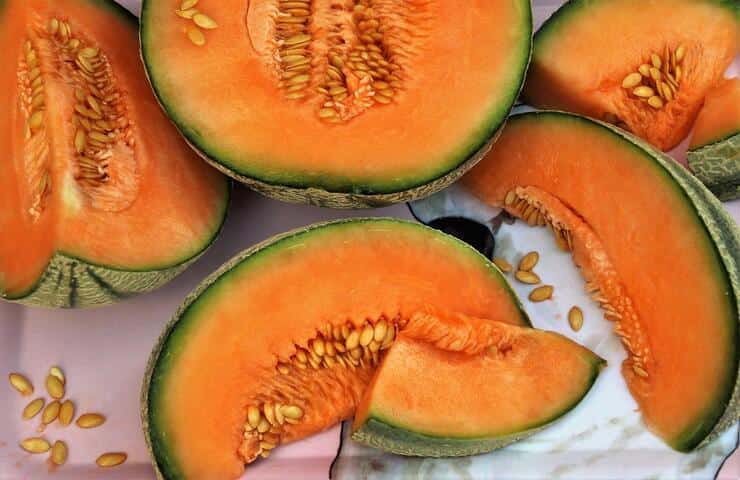 Meloni (Pixabay)
