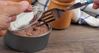 Tonno in scatola: cosa si rischia mangiandone troppo