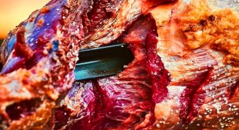 Carne coltivata, in Olanda autorizzati i test d’assaggio: è un passo verso la commercializzazione?