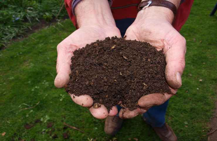 concimi naturali quali sono