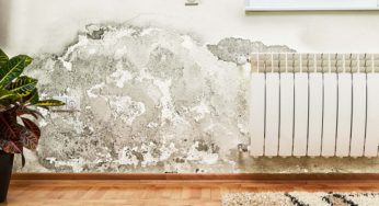 Muffa, come arieggare casa per evitarla?