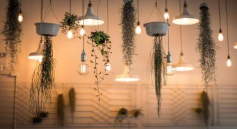 Piante in casa: come arredare con il floating garden