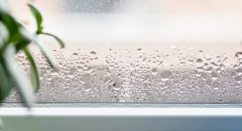 Come capire se casa tua è troppo umida