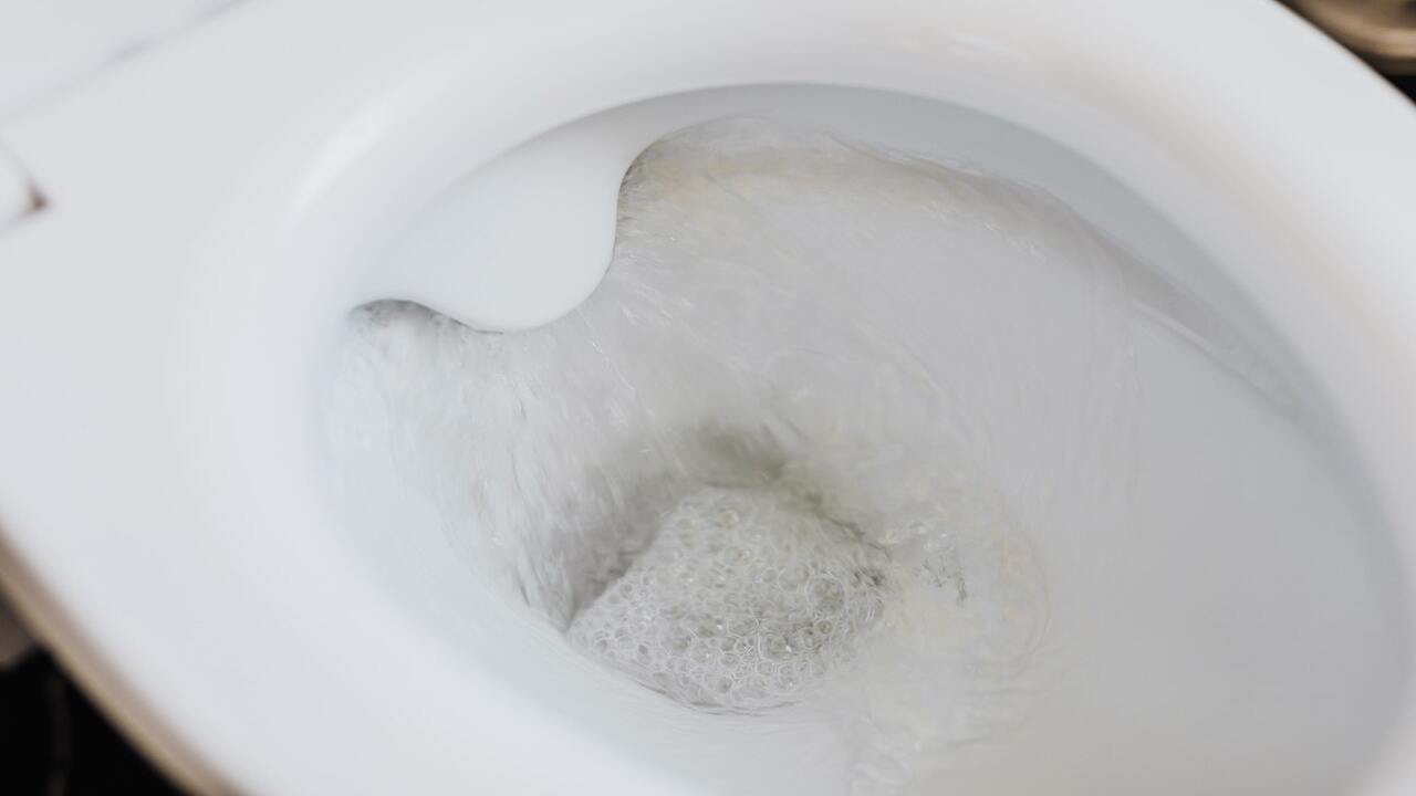Feci, cosa significa quando sono gialle o verdi? Feci, cosa significa quando sono gialle o verdi?