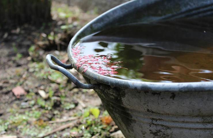 acqua piovana potabile 