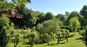 Case sull’albero in Umbria: le più belle, ecco i costi