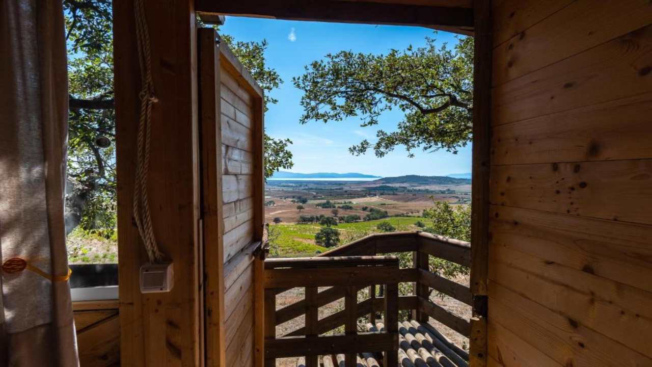 Case Sull albero In Toscana Ecco Dove Sono