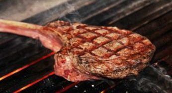 Allarme zecche: un morso può causare allergia alla carne 