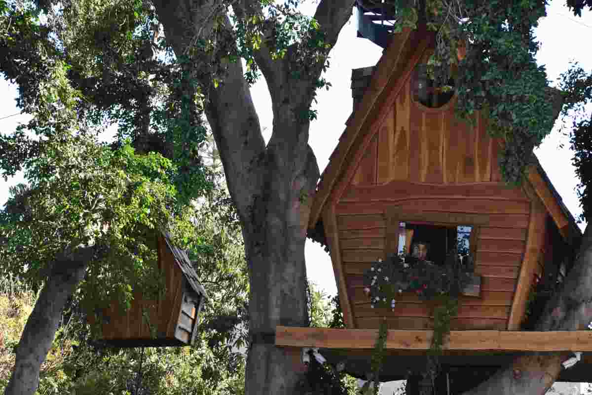 Case sull'albero in Toscana: ecco dove sono