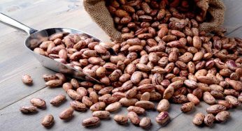 Fagioli: attenzione, in questo caso sono tossici