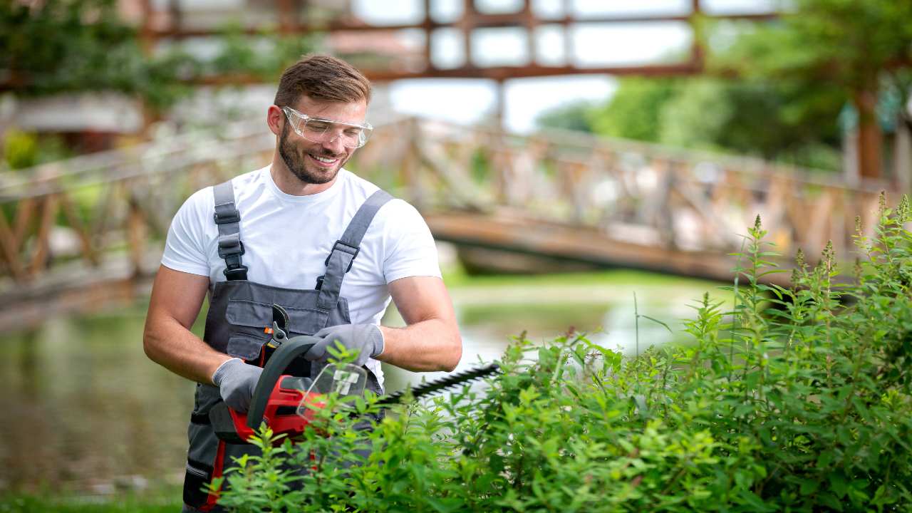 Quanto guadagna un giardiniere? Quanto guadagna un giardiniere?
