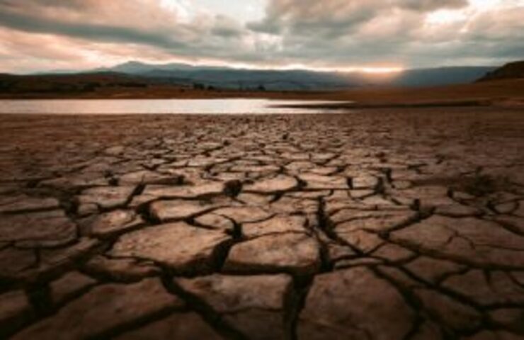 Giornata siccità (Foto Unsplash)
