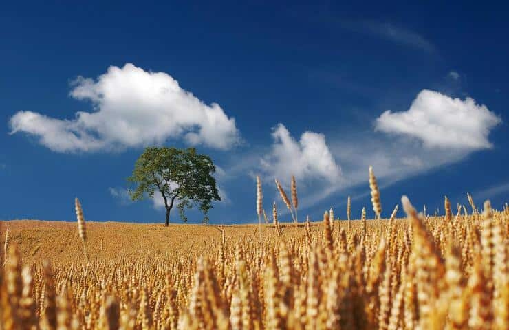 Giornata soleggiata con qualche nuvola (Foto Pixabay)