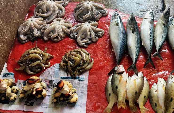 ricerca americana rischio cancro