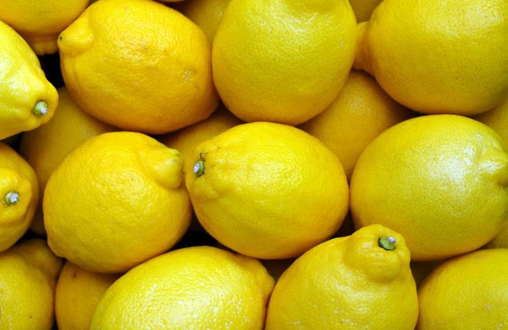 Limone giardinaggio benefici antiparassitario